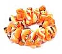 Ladies hawaiian tropical jewelry supply boutique imports Orange colored seashell fashion bracelet