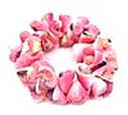 Womens beach wear fashion jewelry exporter wholesales Unique designed pink seashell bracelet from China b2b trader