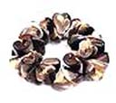 Womens exotic jewelry accessories from hot styles distribution wholesale boutique company, Trendy seashell bracelet